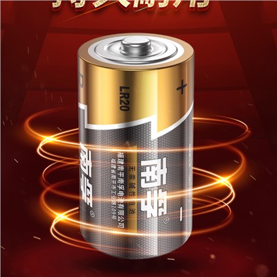 南孚/Nanfu LR20-2B 镜头及器材/1号电池